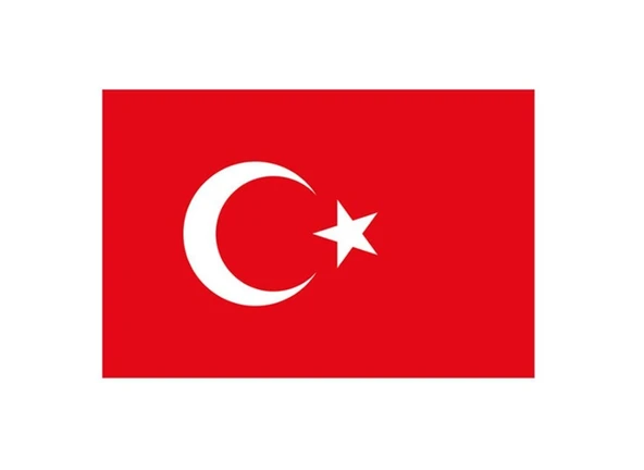 Türk Bayrağı Bayrak Yapışkanlı Çıkartma 12X17cm - 10 adet ürün görseli 1