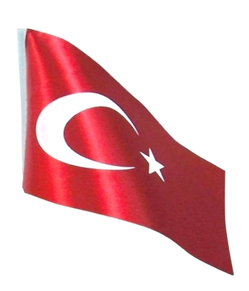 Bayrak Masa Bayrağı Raşel 15X22,5Cm - 2 adet ürün görseli 1