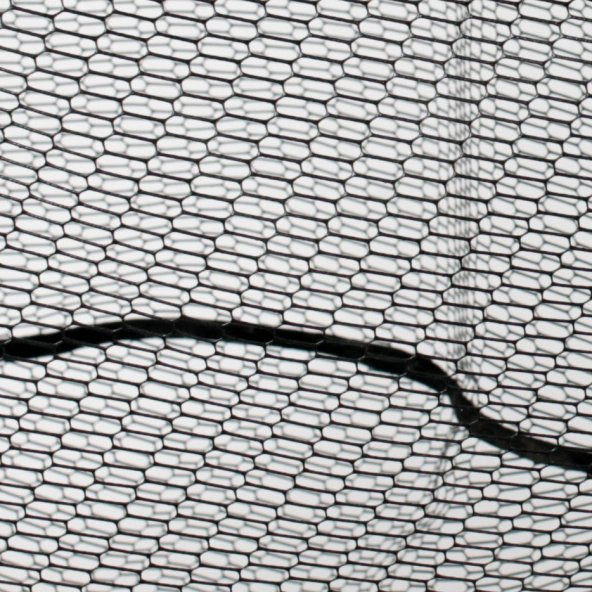 Lineaeffe Guadino Monster - Resim 6