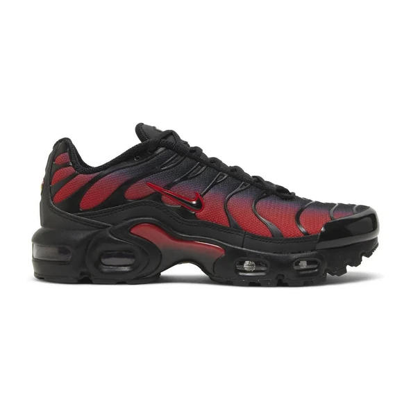 Air Max Plus Bred Gradient ürün görseli 1