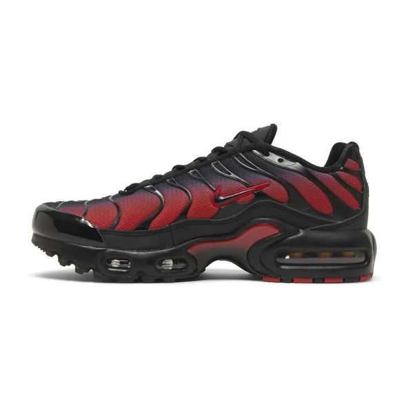 Air Max Plus Bred Gradient - Resim 2