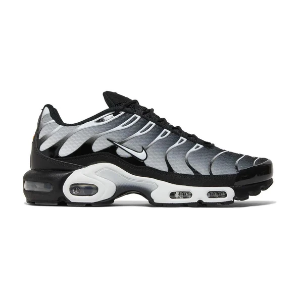 Air Max Plus Black Metallic Silver ürün görseli 1