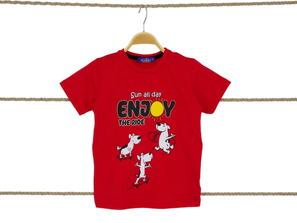 Erkek Çocuk T-Shirt - Resim 6
