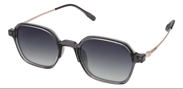 Lee Cooper LC1616.C3 50 Polarize Unisex Güneş Gözlüğü ürün görseli 1