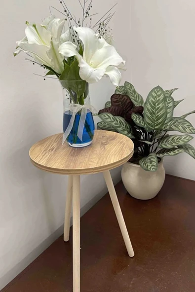Tekli Yan Sehpa Çiçeklik Saksılık Standı Dekoratif Yan Sehpa Seti Ahşap Ayaklı (33 CM ÇAP) ürün görseli 1