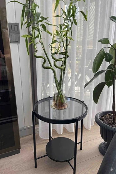 Nordic Yan Sehpa Temperli Cam 40 cm Demonte Çizilmez Kırılmaz Metal Çerçeve Raflı Minimalist Sehpa S ürün görseli 1