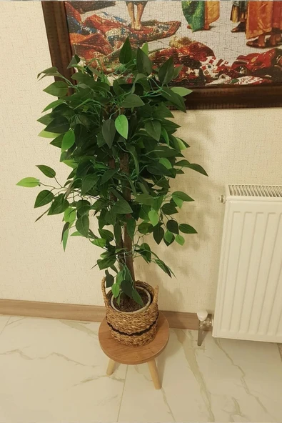 Tekli Ahşap Ayaklı Çiçeklik Saksılık Standı Dekoratif Yan Sehpa Seti 25 cm Çap Atlantik Çam ürün görseli 1