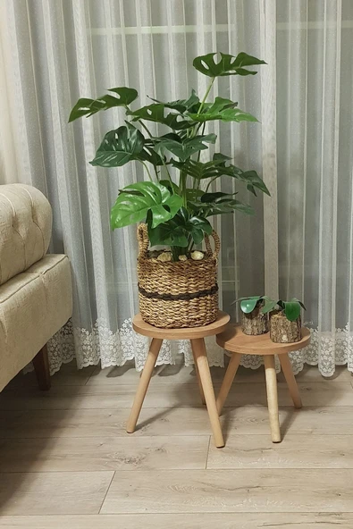 2'li Ahşap Ayaklı Çiçeklik Saksılık Standı Dekoratif Yan Sehpa Seti 25 Cm Çap Atlantik Çam ürün görseli 1