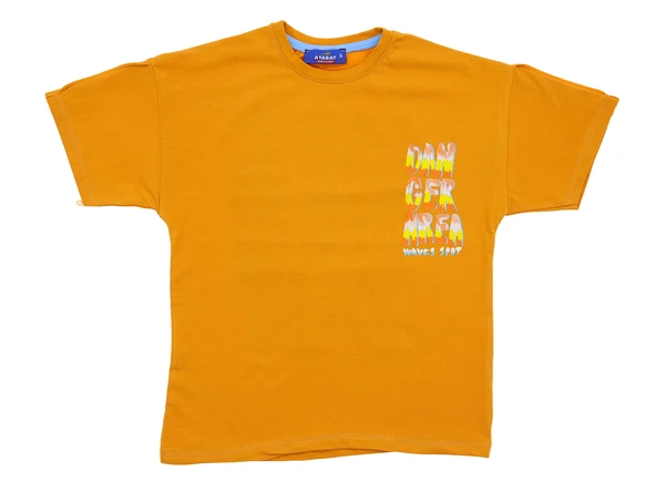 Erkek Çocuk T-Shirt - Resim 8