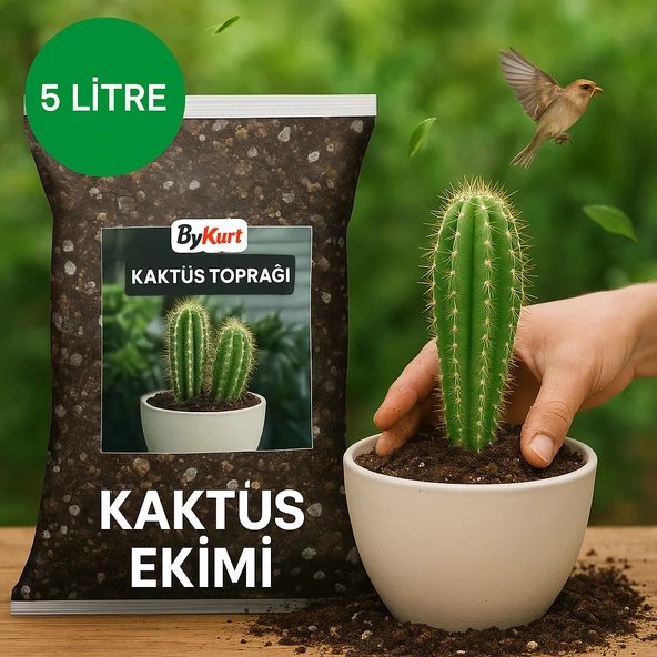 ByKurt 5 Litre Kaktüs Toprağı Böcek Sinek Yapmayan Premium Karışım TS1 Torf, Perlit, Pomza ürün görseli 1