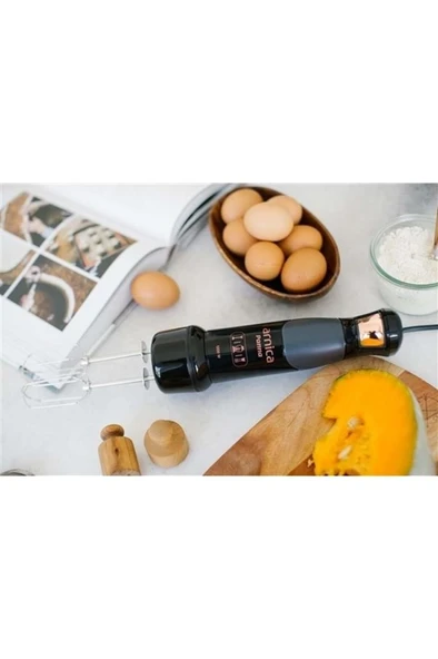 Panna Gh21580 El Blender Siyah - Resim 3