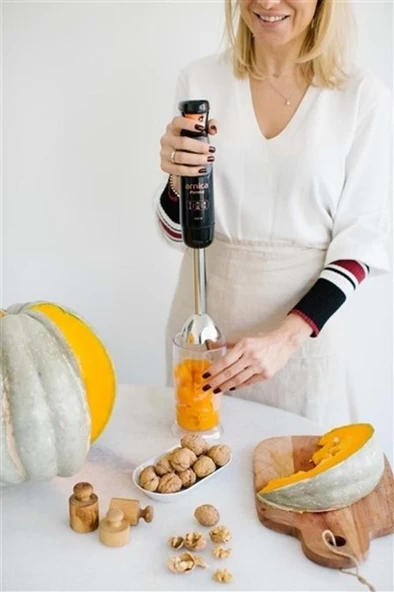 Panna Gh21580 El Blender Siyah - Resim 4