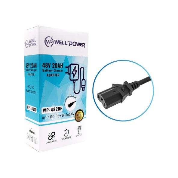 Wellpower WP-4820P 48V 20A Elektrikli Bisiklet Şarj Cihazı ürün görseli 1