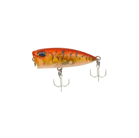 Sea Horse Bobby Kanky 40mm 3 Gr Honey Tiger Shrimp ürün görseli 1