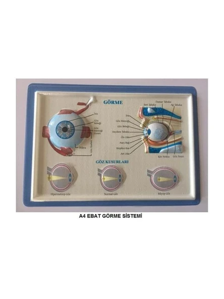 PUTI KABARTMALI GORME SISTEMI ürün görseli 1