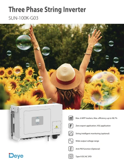 Deye 100Kw Trifaze On-grid İnverter - Resim 6