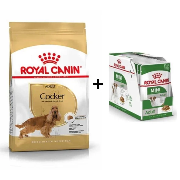 Royal Canin Cocker Yetişkin Köpek Maması 3 kg + 12 Adet Yaş Mama ürün görseli 1