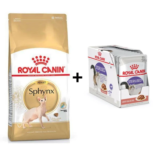 Royal Canin Sphynx Yetişkin Kedi Maması 2 kg + 12 Adet Yaş Mama ürün görseli 1