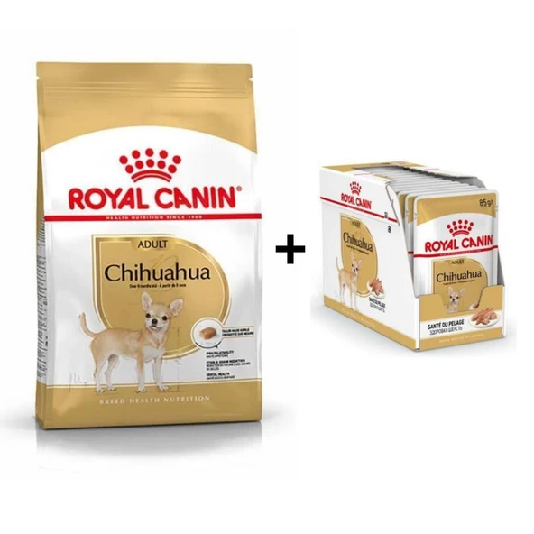 Royal Canin Chihuahua Yetişkin Köpek Maması 1,5 kg + 12 Adet Yaş Mama ürün görseli 1
