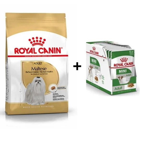 Royal Canin Maltese Bichon Yetişkin Köpek Maması 1,5 kg + 12 Adet Yaş Mama ürün görseli 1