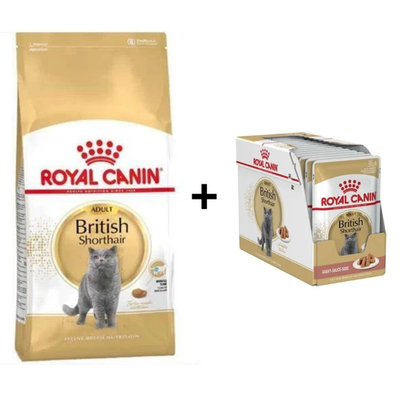 Royal Canin British Shorthair Yetişkin Kedi Maması 2 kg + 12 Adet Yaş Mama ürün görseli 1