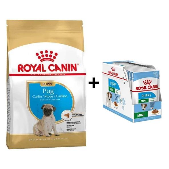Royal Canin Pug Junior Yavru Köpek Maması 1,5 kg + 12 Adet Yaş Mama ürün görseli 1