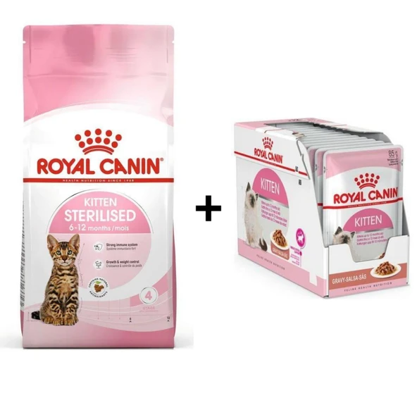Royal Canin Kitten Sterilised Kısırlaştırılmış Yavru Kedi Maması 2 Kg + 12 Adet Yaş Mama ürün görseli 1