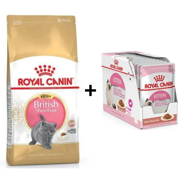 Royal Canin Kitten British Shorthair Yavru Kedi Maması 2 kg + 12 Adet Yaş Mama ürün görseli 1