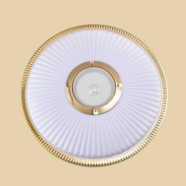 LEDX 24W Bluetooth Hoparlörlü Dekoratif LEDli Tavan Armatürü Hoparlörlü ürün görseli 1