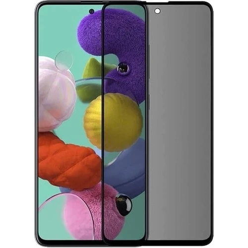 Samsung Galaxy S21 Anti Statik Hayalet Cam Ekran Koruyucu ürün görseli 1