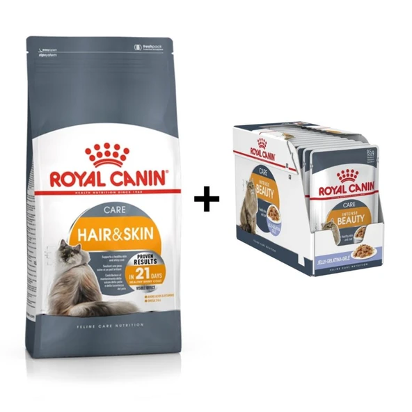 Royal Canin Hair&Skin Hassas Tüylü Kediler İçin Mama 4 kg + 12 Adet Yaş Mama ürün görseli 1