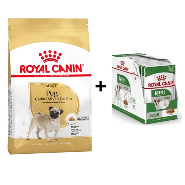 Royal Canin Pug  Irkı Özel Köpek Maması 1,5 kg + 12 Adet Yaş Mama ürün görseli 1