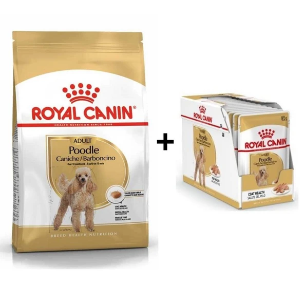 Royal Canin Poodle Adult Köpek Maması 3 Kg + 12 Adet Yaş Mama ürün görseli 1