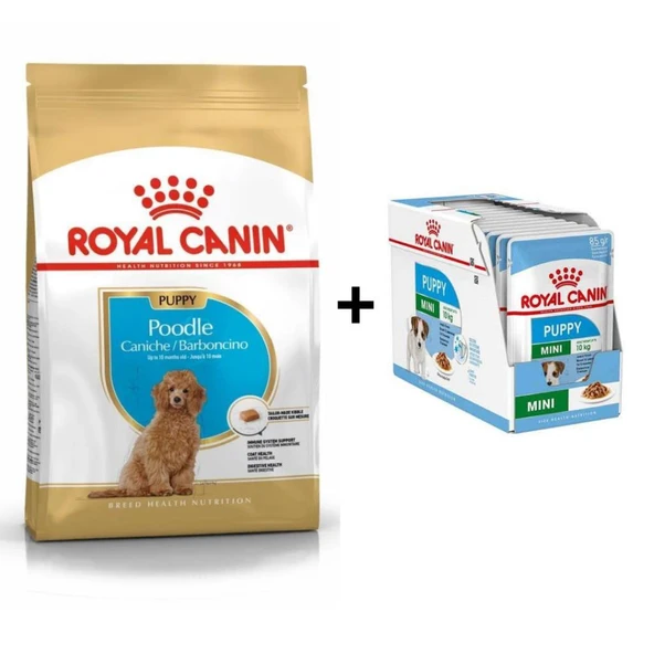 Royal Canin Poodle Puppy Köpek Maması 3 Kg + 12 Adet Yaş Mama ürün görseli 1