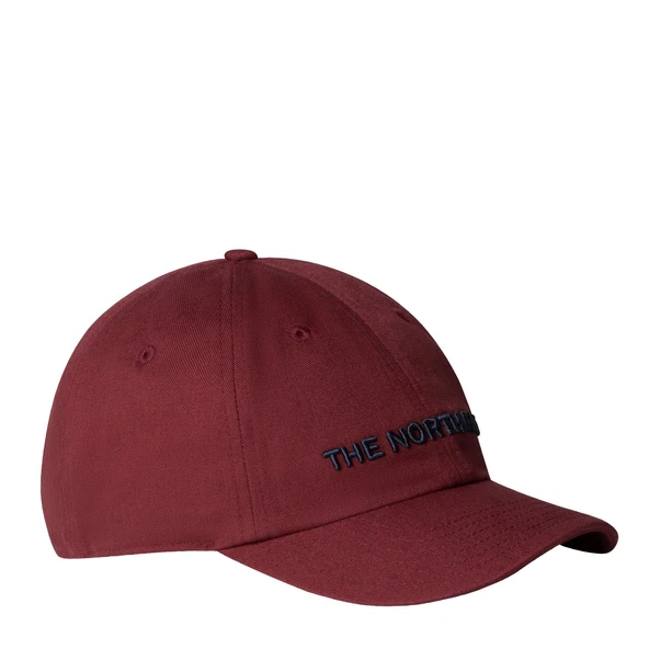 The North Face ROOMY NORM Şapka NF0A7WHPAYQ1 ürün görseli 1