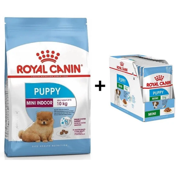 Royal Canin Mini İndoor Puppy Köpek Maması 1,5 kg + 12 Adet Yaş Mama ürün görseli 1