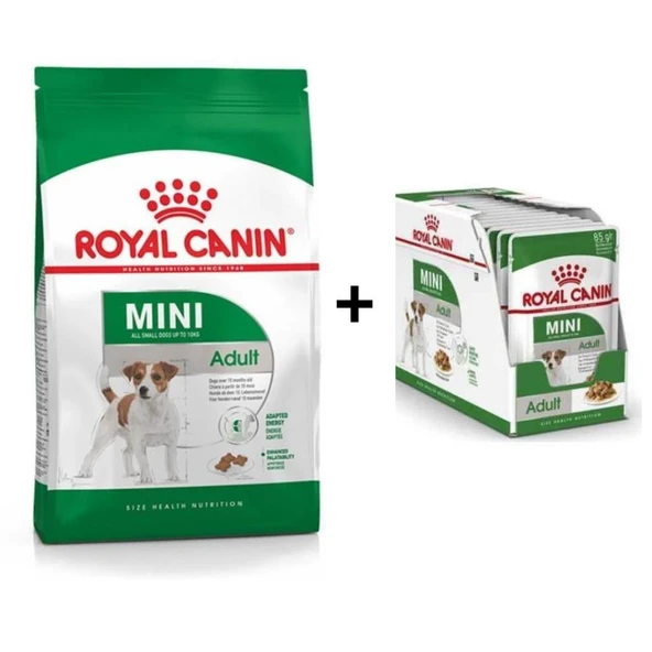 Royal Canin Mini Adult Köpek Maması 4 kg + 12 Adet Yaş Mama ürün görseli 1