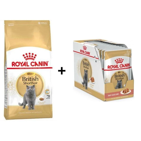 Royal Canin British Shorthair Yetişkin Kedi Maması 10 kg + 12 Adet Royal Canin British Shorthair Yaş Kedi Maması 85 Gr ürün görseli 1