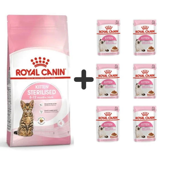Royal Canin Kitten Sterilised Kısırlaştırılmış Yavru Kedi Maması 2 Kg + 6 Adet Yaş Mama ürün görseli 1