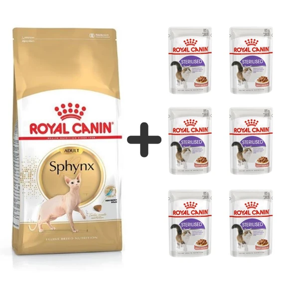 Royal Canin Sphynx Yetişkin Kedi Maması 2 kg + 6 Adet Yaş Mama ürün görseli 1