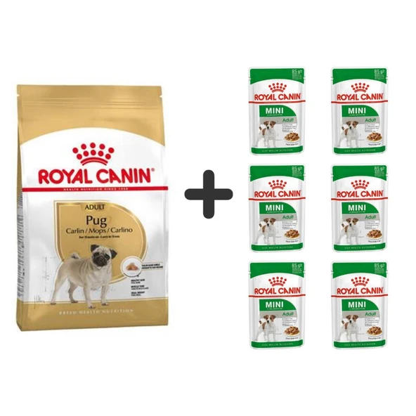 Royal Canin Pug Irkı Özel Köpek Maması 1,5 kg + 6 Adet Yaş Mama ürün görseli 1