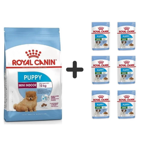 Royal Canin Mini İndoor Puppy Köpek Maması 1,5 kg + 6 Adet Yaş Mama ürün görseli 1