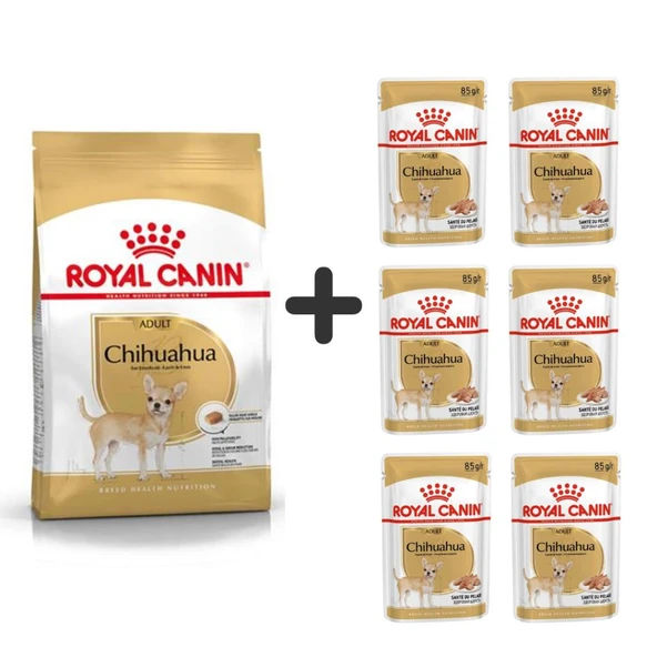 Royal Canin Chihuahua Yetişkin Köpek Maması 1,5 kg + 6 Adet Yaş Mama ürün görseli 1