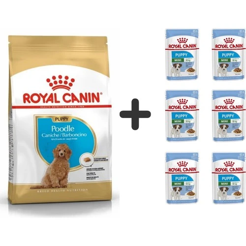 Royal Canin Poodle Puppy Köpek Maması 3 Kg + 6 Adet Yaş Mama ürün görseli 1