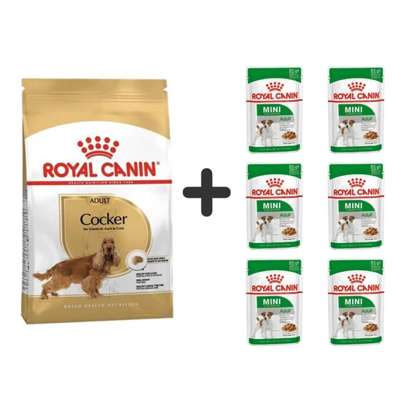 Royal Canin Cocker Yetişkin Köpek Maması 3 kg + 6 Adet Yaş Mama ürün görseli 1