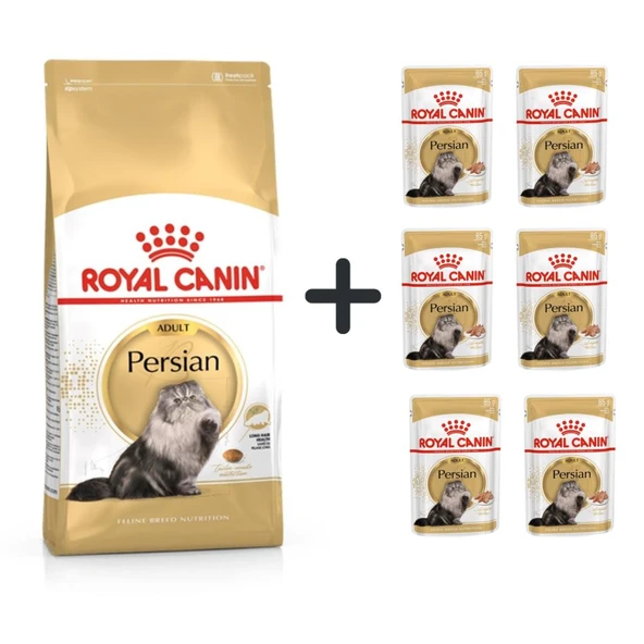 Royal Canin Persian Yetişkin Kedi Maması 4 kg + 6 Adet Yaş Mama ürün görseli 1