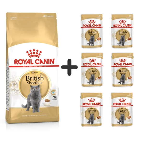 Royal Canin British Shorthair Yetişkin Kedi Maması 2 kg + 6 Adet Yaş Mama ürün görseli 1