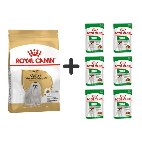 Royal Canin Maltese Bichon Yetişkin Köpek Maması 1,5 kg + 6 Adet Yaş Mama ürün görseli 1