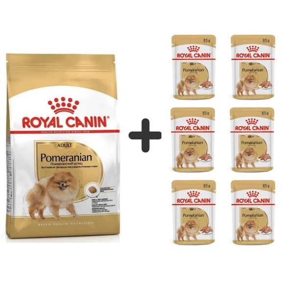 Royal Canin Pomeranian Yetişkin Köpek Maması 3kg + 6 Adet Yaş Mama ürün görseli 1