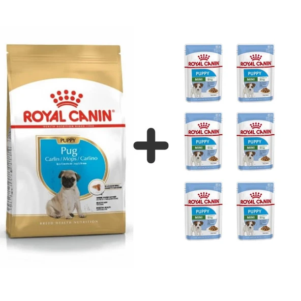 Royal Canin Pug Junior Yavru Köpek Maması 1,5 kg + 6 Adet Yaş Mama ürün görseli 1